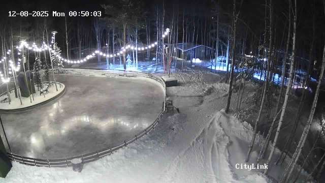 Апатиты арт-каток Сияние, камера 3